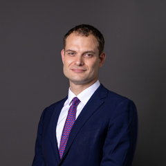 Official portrait of Mr Hamish Falconer